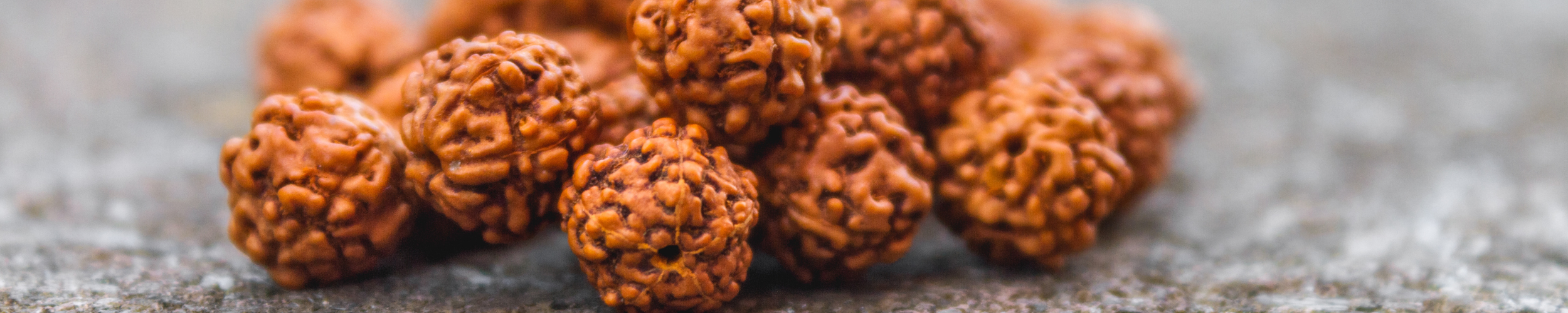 RUDRAKSHA