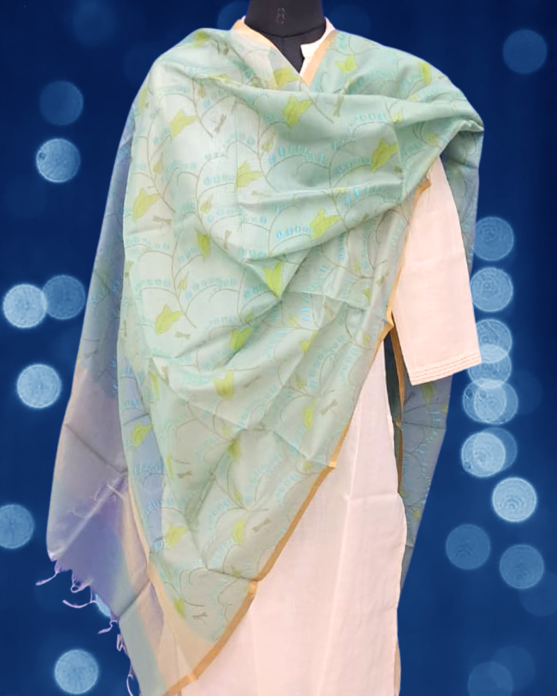 Handwoven Chanderi Dupatta: Phool-Pakshi Collection in Colour