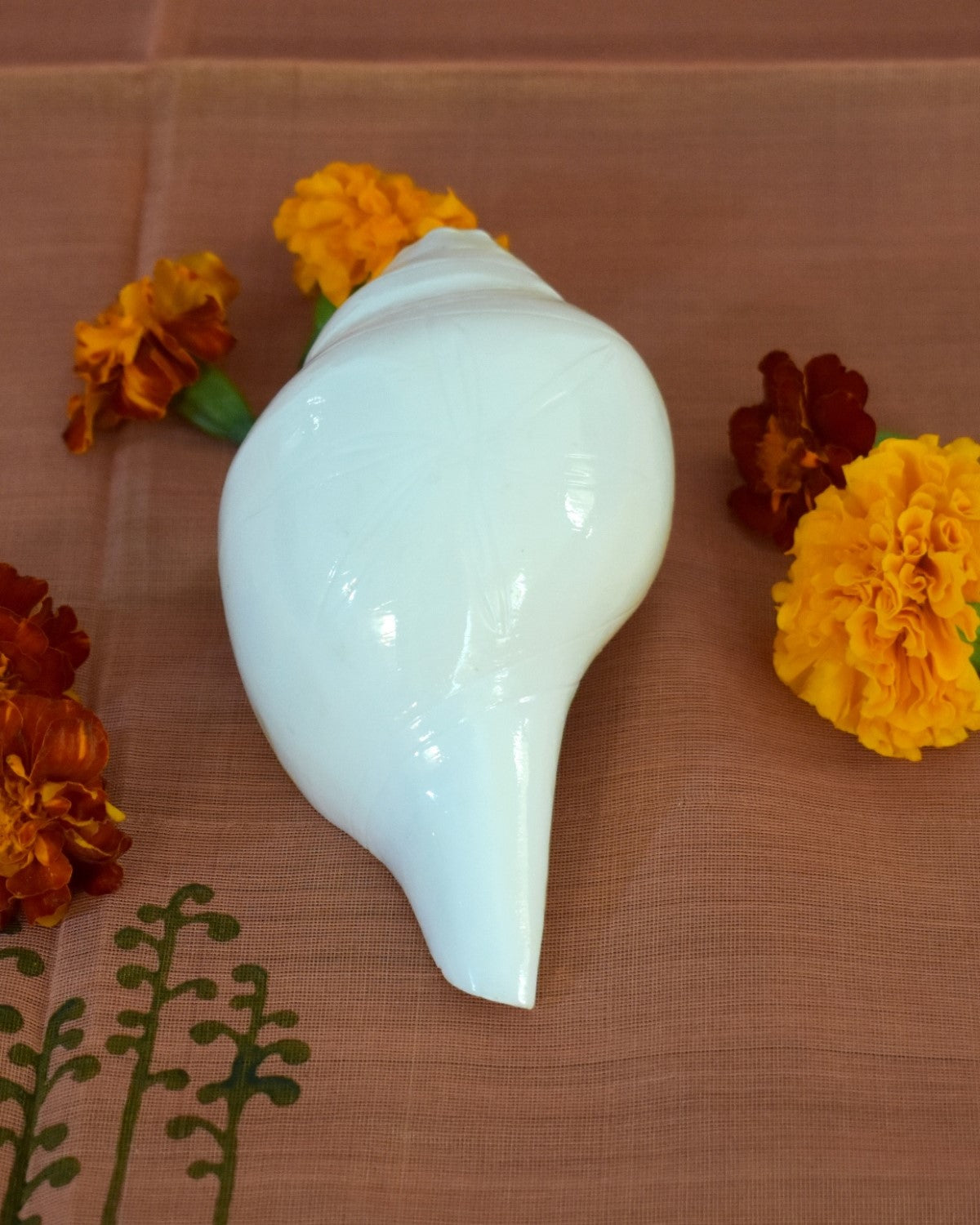 Conch: Blowing - Medium
