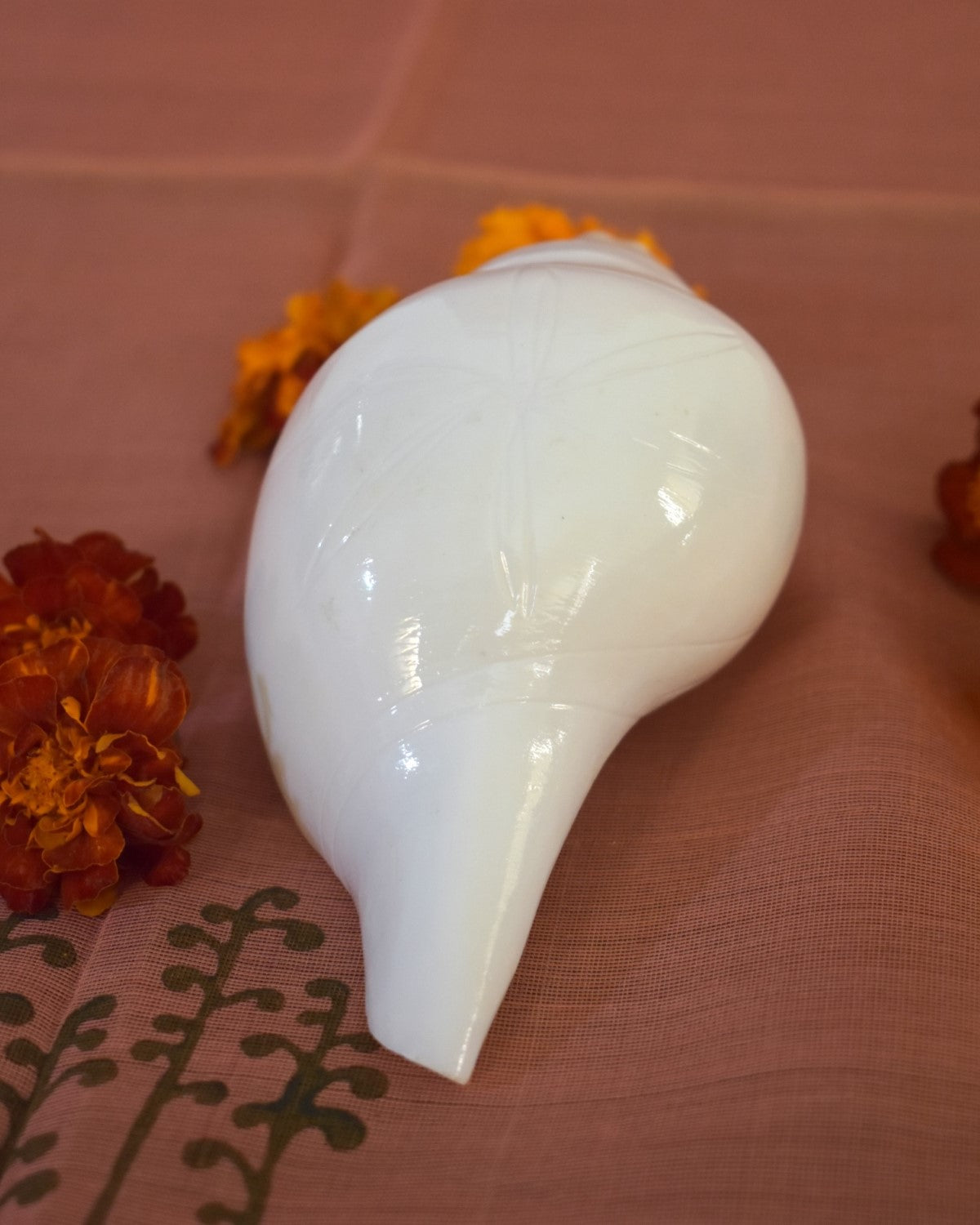 Conch: Blowing - Medium