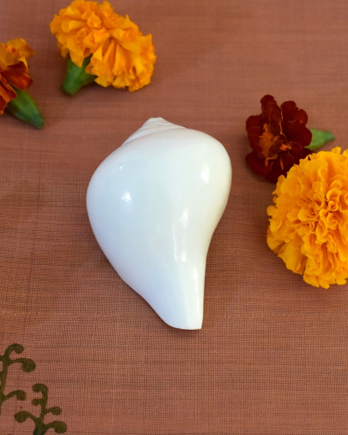 Conch: Puja - Small