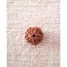 Rudraksha Bead - 5 Mukhi (18-19mm)