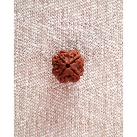 Rudraksha: Bead - 4 Mukhi (18-19mm)