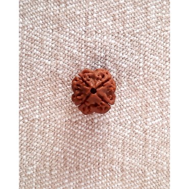 Rudraksha: Bead - 4 Mukhi (18-19mm)