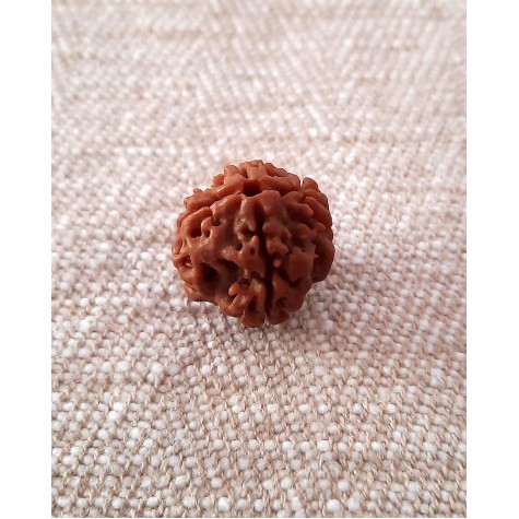 Rudraksha: Bead - 4 Mukhi (18-19mm)