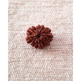 Rudraksha Bead - 10 Mukhi (21-22mm)